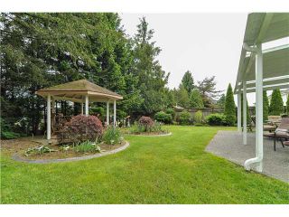Photo 2: 24796 122A Avenue in Maple Ridge: Websters Corners House for sale : MLS®# V1008259
