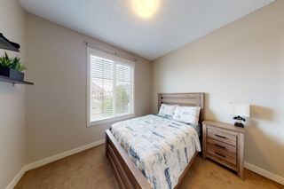 Photo 35: 9 Cranridge Terrace in Calgary: Cranston Detached for sale : MLS®# A1231285