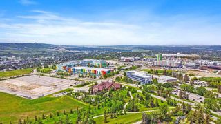 Photo 42: 4703 22 Avenue NW in Calgary: Montgomery Semi Detached (Half Duplex) for sale : MLS®# A2055900