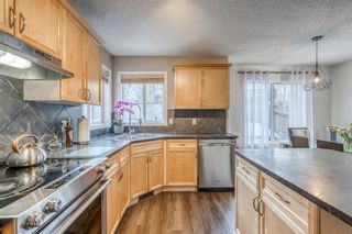 Photo 9: 77 Royal Elm Road NW in Calgary: Royal Oak Detached for sale