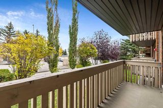 Photo 23: 212 11620 Elbow Drive SW in Calgary: Canyon Meadows Apartment for sale : MLS®# A2086620