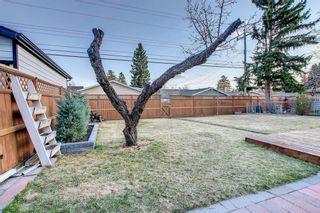 Photo 44: 9615 Assiniboine Road SE in Calgary: Acadia Detached for sale : MLS®# A1202553