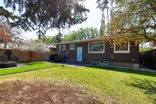 Photo 13: 1420 18A Street NE in Calgary: Mayland Heights Detached for sale : MLS®# A2048735
