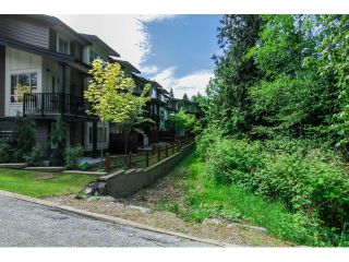 Photo 5: 7 23986 104 Avenue in Maple Ridge: Albion Townhouse for sale in "SPENCER BROOK" : MLS®# V1066703