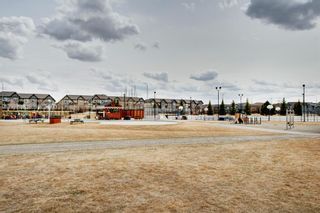 Photo 39: 188 Cranarch Circle SE in Calgary: Cranston Detached for sale : MLS®# A1213192