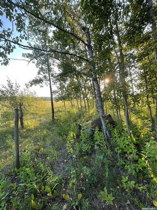 Photo 32: Foster acreage in Hudson Bay: Residential for sale (Hudson Bay Rm No. 394)  : MLS®# SK906477