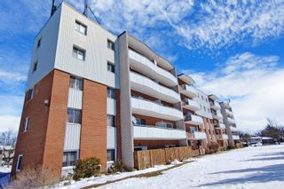 Photo 37: 102 2485 Woking Crescent in Mississauga: Sheridan Condo for sale : MLS®# W5970505