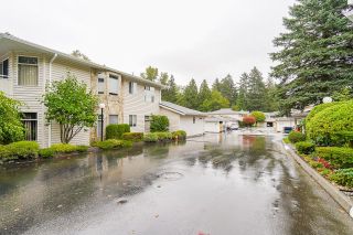Photo 2: 224 10584 153 Street in Surrey: Guildford Townhouse for sale in "Glenwood Village on the Park" (North Surrey)  : MLS®# R2620863