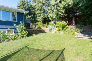 Photo 36: 3480 MAHON Avenue in North Vancouver: Upper Lonsdale House for sale : MLS®# R2485578