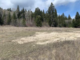 Photo 6: Lot 6 - 6567 COLUMBIA LAKE ROAD in Fairmont Hot Springs: Vacant Land for sale : MLS®# 2468068