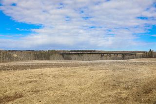Photo 7: 16 Mintlaw Bridge Estates Township Road 374: Rural Red Deer County Residential Land for sale : MLS®# A2123606