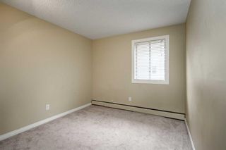 Photo 18: 202 611 67 Avenue SW in Calgary: Kingsland Apartment for sale : MLS®# A2129404