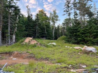 Photo 12: acreage Sonora Road in Sherbrooke: 303-Guysborough County Vacant Land for sale (Highland Region)  : MLS®# 202216267