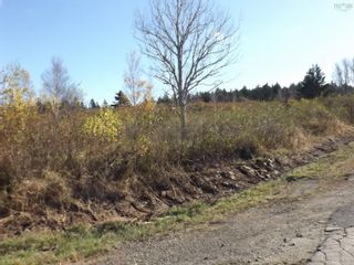 Photo 5: 9 Brooks Road in Ashmore: Digby County Vacant Land for sale (Annapolis Valley)  : MLS®# 202225453