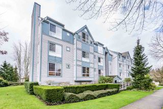 Photo 1: 203 7465 SANDBORNE Avenue in Burnaby: South Slope Condo for sale (Burnaby South)  : MLS®# R2188768