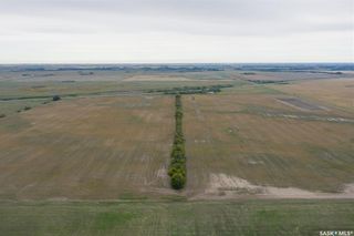 Photo 10: RM of Perdue - 148 Acres in Perdue: Lot/Land for sale (Perdue Rm No. 346)  : MLS®# SK920689
