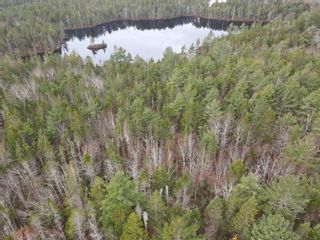 Main Photo: Lady Slipper Lane in Mount Uniacke: 105-East Hants/Colchester West Vacant Land for sale (Halifax-Dartmouth)  : MLS®# 202306775