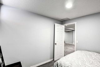 Photo 39: 116 Bridlewood Circle SW in Calgary: Bridlewood Detached for sale : MLS®# A2118131