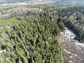 Photo 6: LOT 7 SOUTHWOOD Road in Quesnel: Quesnel - Rural North Land for sale in "TEN MILE LAKE AREA" (Quesnel (Zone 28))  : MLS®# R2666316