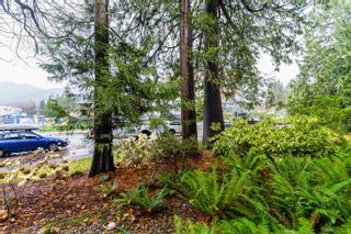 Photo 27: 106 235 E 13TH Street in North Vancouver: Central Lonsdale Condo for sale in "Lady Highland" : MLS®# R2633628