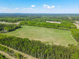 Photo 6: West of Cowboy Trail  #22 in Rural Wetaskiwin No. 10, County of: Rural Wetaskiwin County Residential Land for sale : MLS®# A1230343