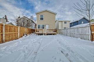 Photo 48: 31 martinview Crescent NE in Calgary: Martindale Detached for sale : MLS®# A2021327
