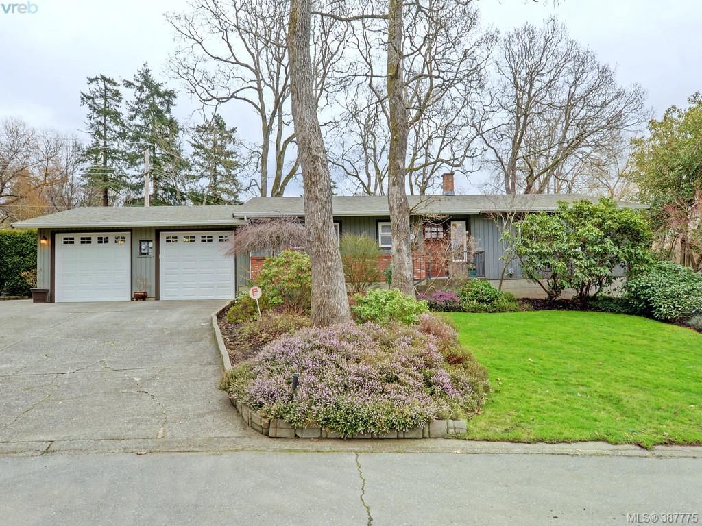 Main Photo: 3997 RESOLUTE Pl in VICTORIA: SE Mt Doug House for sale (Saanich East)  : MLS®# 779235