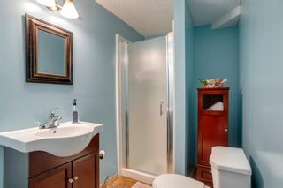 Photo 22: 48 Spring Haven Close SE: Airdrie Detached for sale : MLS®# A1131621