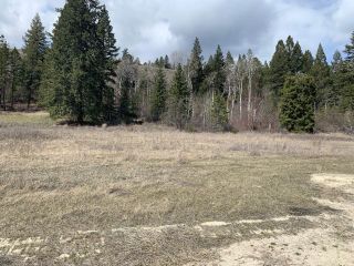 Photo 7: Lot 6 - 6567 COLUMBIA LAKE ROAD in Fairmont Hot Springs: Vacant Land for sale : MLS®# 2470465
