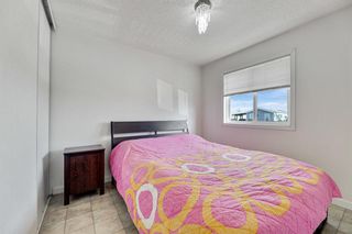Photo 17: 117 Erin Woods Circle SE in Calgary: Erin Woods Detached for sale : MLS®# A1234371