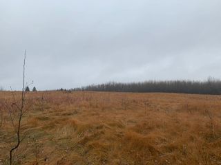 Photo 4: 301 GLEN HAVEN Crescent: Rural Wetaskiwin County Rural Land/Vacant Lot for sale : MLS®# E4267710