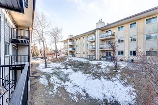 Photo 14: 4203 385 Patterson Hill SW in Calgary: Patterson Apartment for sale : MLS®# A2017390
