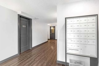 Photo 3: 105 15207 1 Street SE in Calgary: Midnapore Apartment for sale : MLS®# A2115125