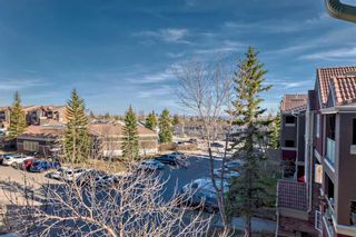 Photo 4: 32 3000 Edenwold Heights NW in Calgary: Edgemont Apartment for sale : MLS®# A2130742
