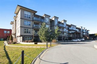 Photo 1: 118 30515 CARDINAL Avenue in Abbotsford: Abbotsford West Condo for sale : MLS®# R2136860