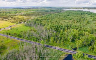 Photo 9: 2494 County Road 5 Road in Prince Edward County: Sophiasburgh Property for sale : MLS®# X7215730