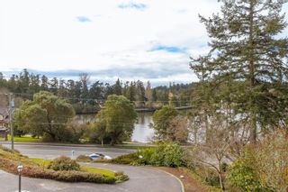 Photo 41: 368 W Gorge Rd in Saanich: SW Gorge House for sale (Saanich West)  : MLS®# 895529