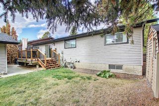 Photo 35: 1351 Idaho Street: Carstairs Detached for sale : MLS®# A1040858