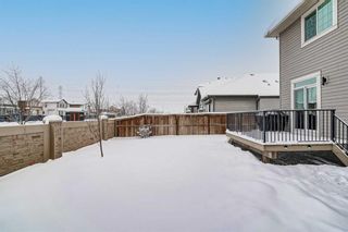 Photo 42: 161 Rainbow Falls Heath: Chestermere Detached for sale : MLS®# A2125718