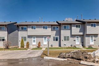 Photo 30: 30 6020 Temple Drive NE in Calgary: Temple Row/Townhouse for sale : MLS®# A2119215