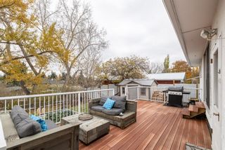 Photo 36: 332 Trafford Drive NW in Calgary: Thorncliffe Detached for sale : MLS®# A1169576