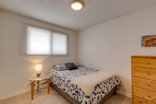 Photo 29: 112 Parkview Green SE in Calgary: Parkland Detached for sale : MLS®# A1200181