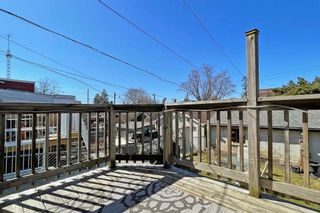 Photo 37: 216 Silverthorn Avenue in Toronto: Weston-Pellam Park House (2-Storey) for sale (Toronto W03)  : MLS®# W5992411