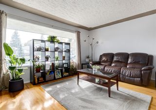 Photo 3: 512 33 Avenue NE in Calgary: Winston Heights/Mountview Semi Detached for sale : MLS®# A1164134