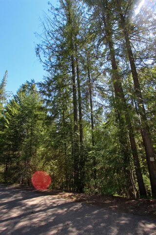 Photo 4: Lot 33 4498 Squilax Anglemont Hwy in Scotch Creek: Land Only for sale : MLS®# 10235084