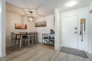Photo 4: 210 3000 Valleyview Park SE in Calgary: Dover Apartment for sale : MLS®# A2064850