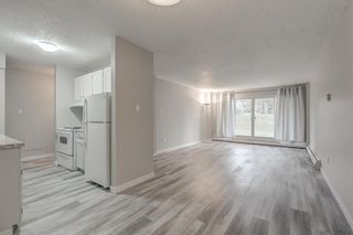 Photo 17: 182 8948 Elbow Drive SW in Calgary: Haysboro Apartment for sale : MLS®# A1161260