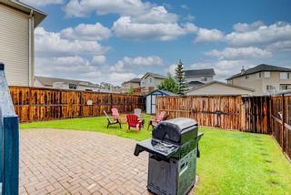 Photo 41: 36 Coville Close NE in Calgary: Coventry Hills Detached for sale : MLS®# A1231827
