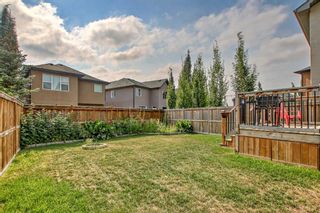 Photo 31: 46 Sage Meadows Way NW in Calgary: Sage Hill Detached for sale : MLS®# A2069982