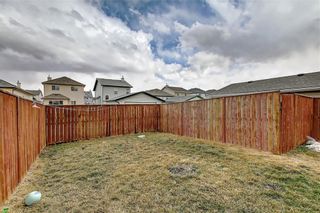Photo 44: 207 SADDLEMEAD Close NE in Calgary: Saddle Ridge Detached for sale : MLS®# C4236086